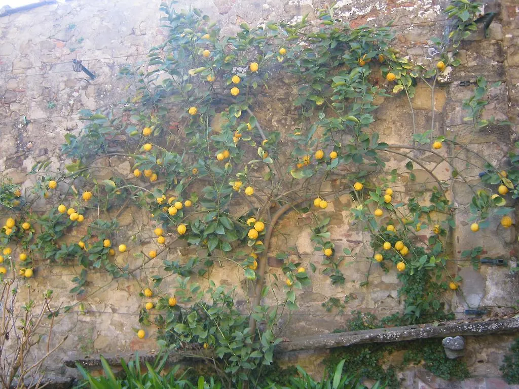 Holiday Home Il Borgo Degli Agrumi Uzzano
